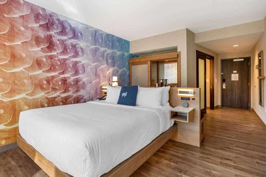 Cambria Hotel Manchester South Windsor الغرفة الصورة